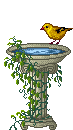Bird bath 2